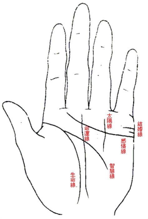 掌心有方格紋|【命理】《手相學》掌紋解析：掌紋代表什麼意思？生。